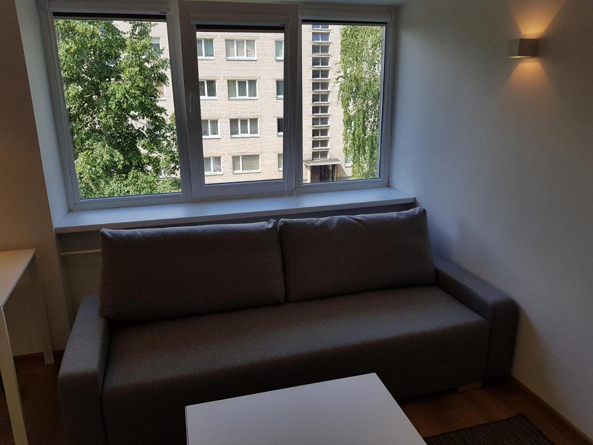 Anykščiai Cozy Studio Zewnętrze zdjęcie