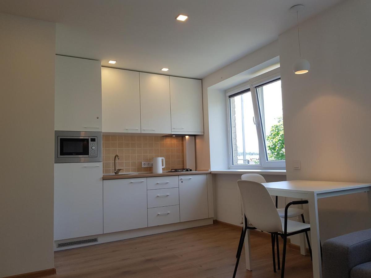 Anykščiai Cozy Studio Zewnętrze zdjęcie
