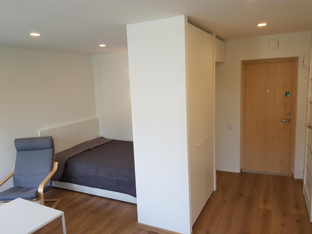 Anykščiai Cozy Studio Zewnętrze zdjęcie